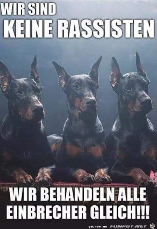 Wir behandeln alle gleich Wir behandeln alle gleich