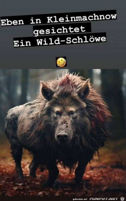 Komisches Tier