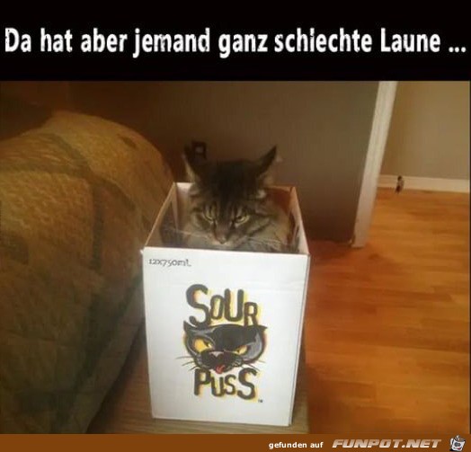Schlechte Laune Schlechte Laune