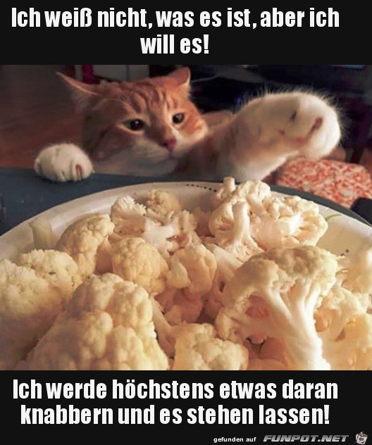 Ich will es