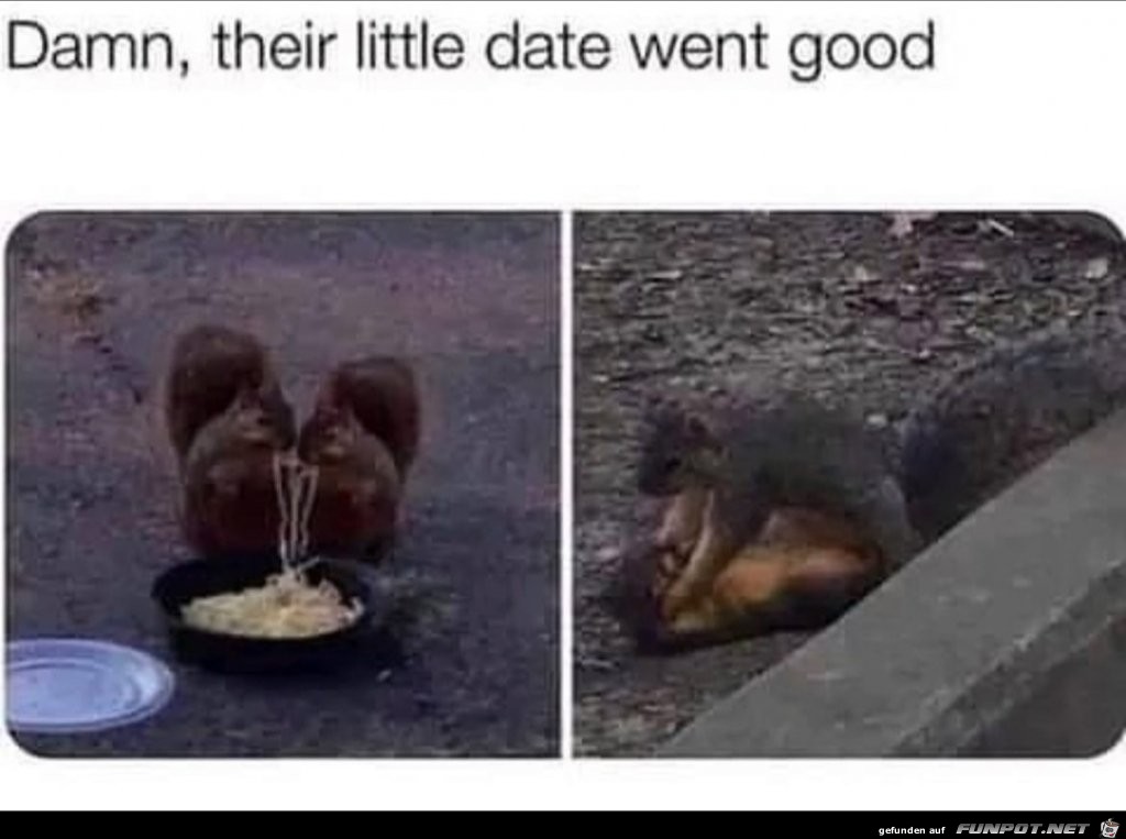 Das Date lief wohl gut Das Date lief wohl gut