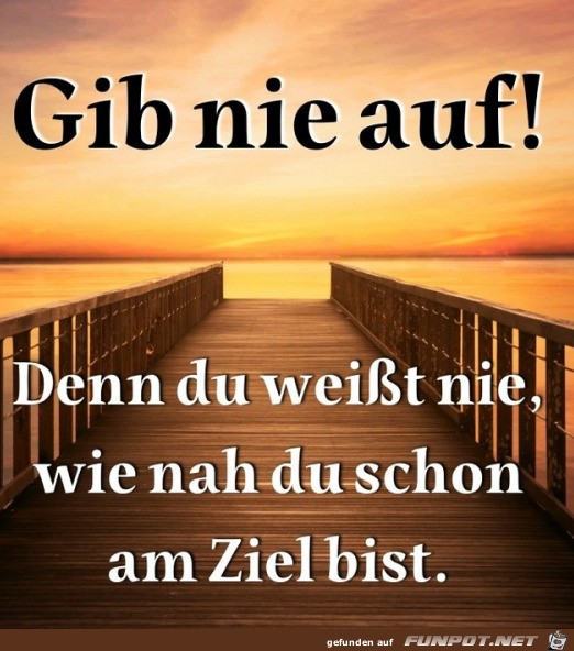 Gib nie auf Gib nie auf