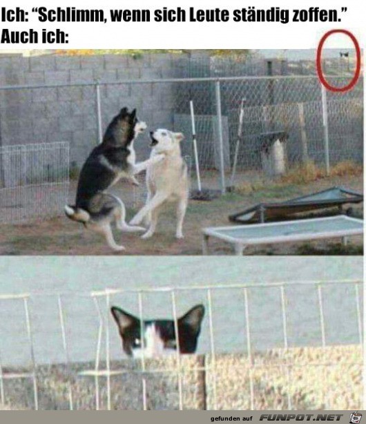 Gucken tu ich trotzdem Gucken tu ich trotzdem