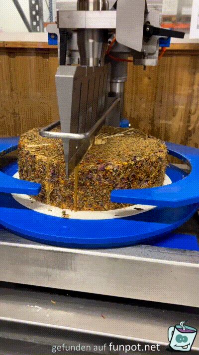 Blütenkäse schneiden Blütenkäse schneiden