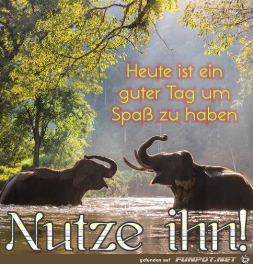Guter Tag