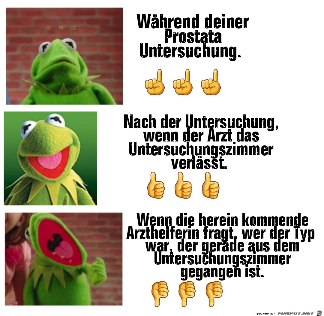 Prostata Untersuchung Prostata Untersuchung