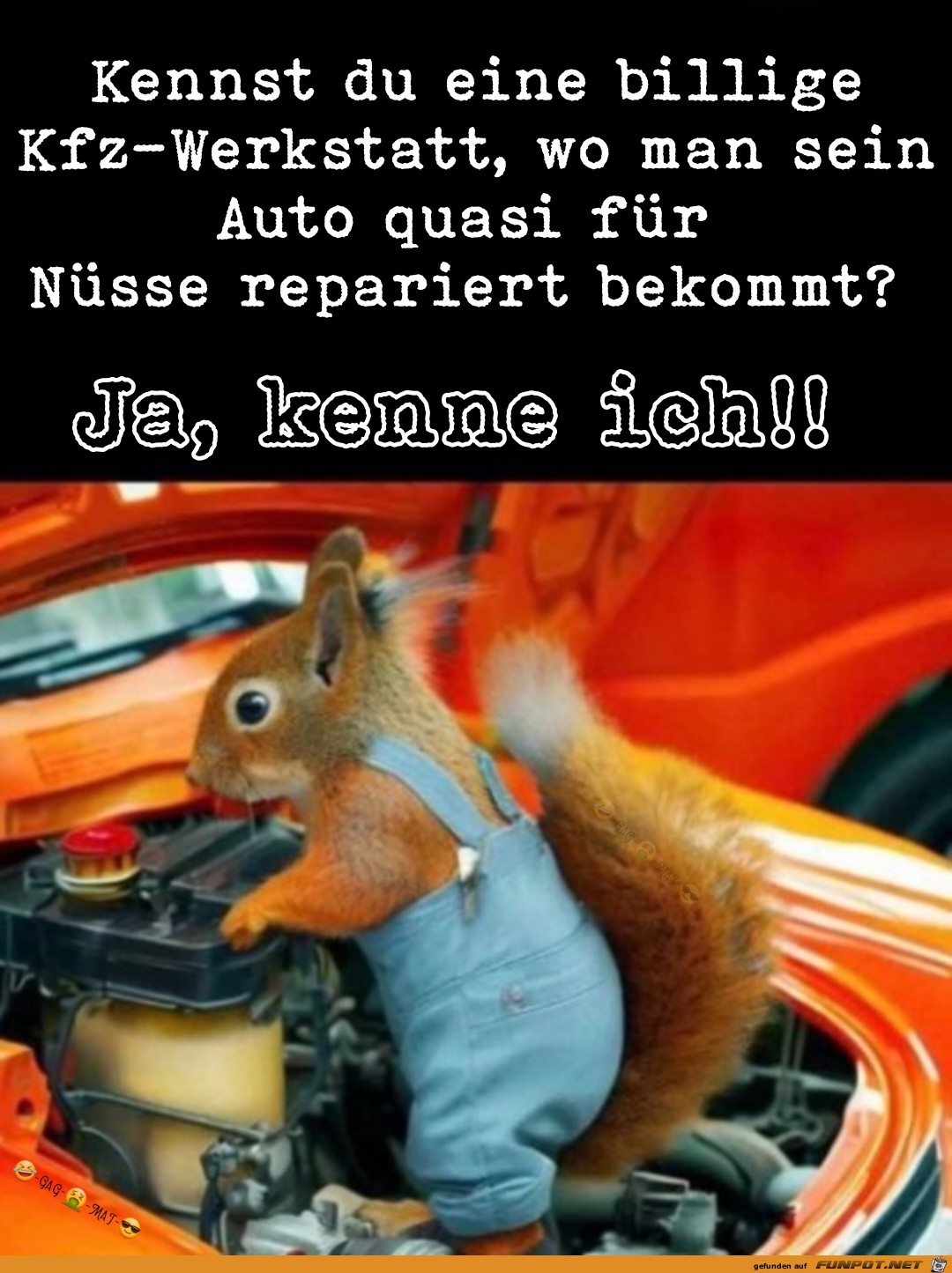 Fr Nsse