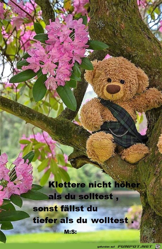 Klettere nicht hher