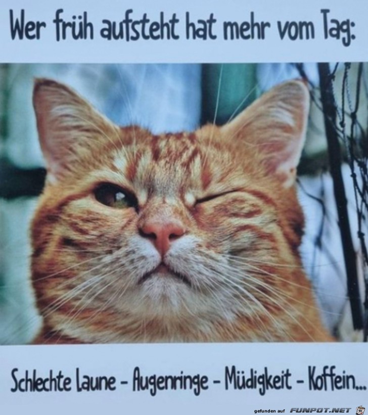 Früh austehen Früh austehen