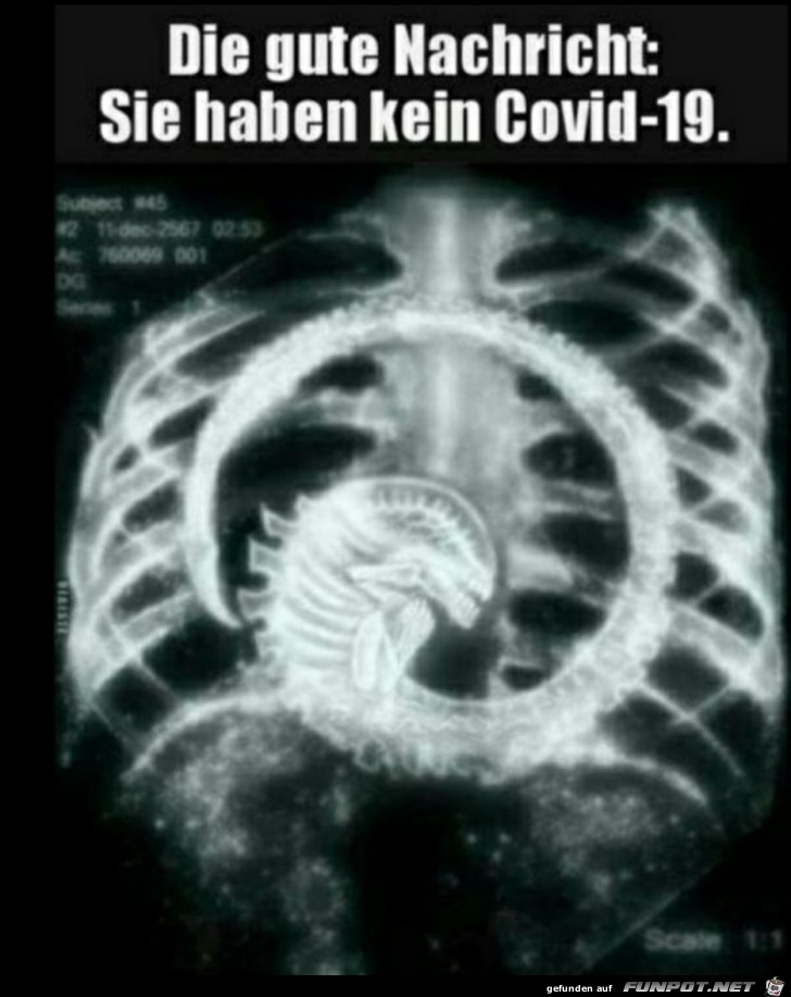 Gute Nachricht Gute Nachricht