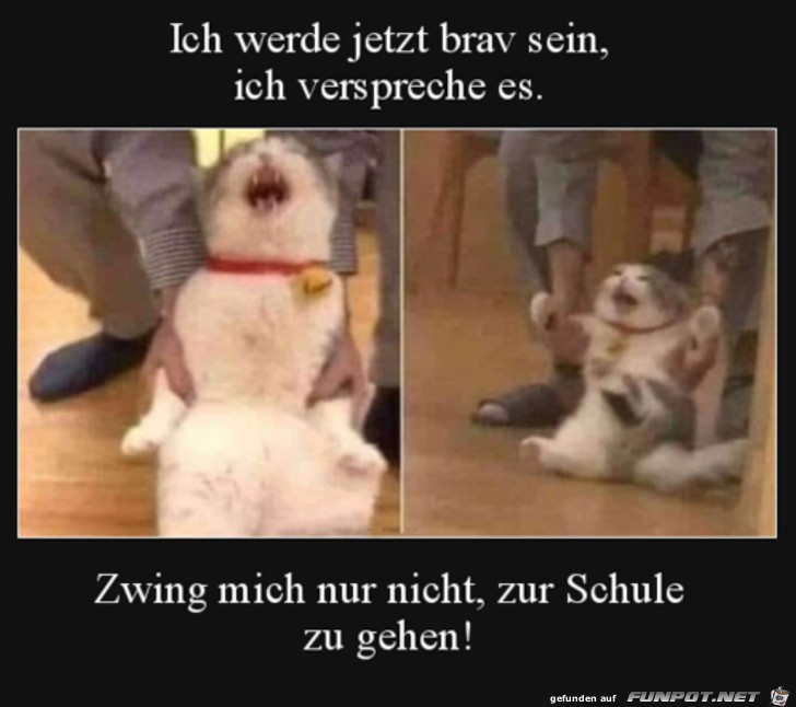 Werde jetzt brav sein