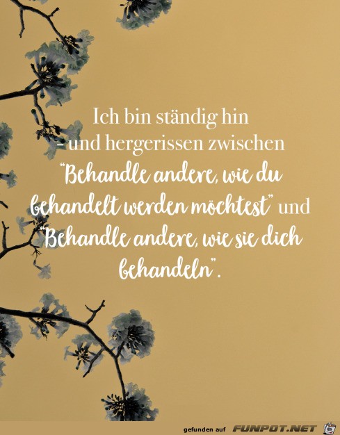 Hin und hergerissen Hin und hergerissen