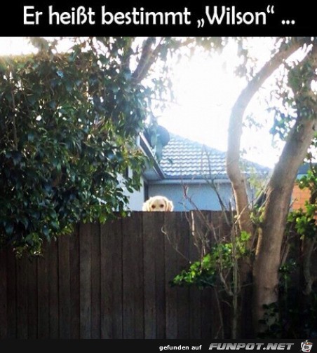 Er heißt sicher Wilson Er heißt sicher Wilson