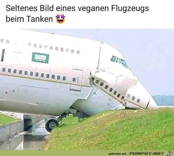 Veganes Flugzeug Veganes Flugzeug