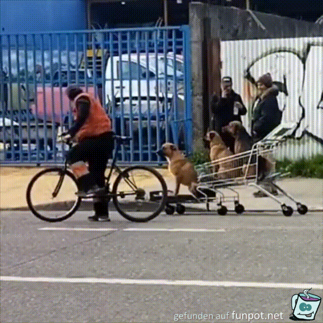 Mit den Hunden unterwegs Mit den Hunden unterwegs