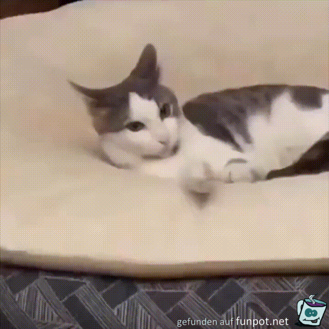 Er legt sich einfach drauf Er legt sich einfach drauf