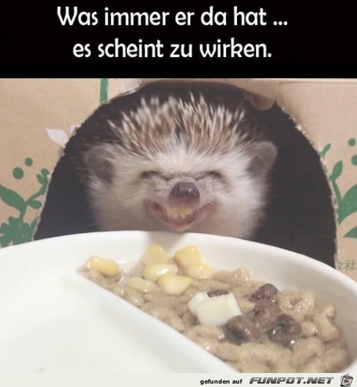 Es wirkt