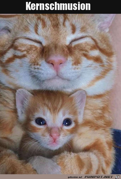 Sooo lieb Sooo lieb