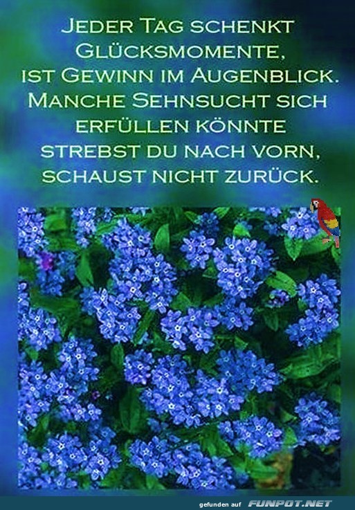 Jeder Tag schenkt