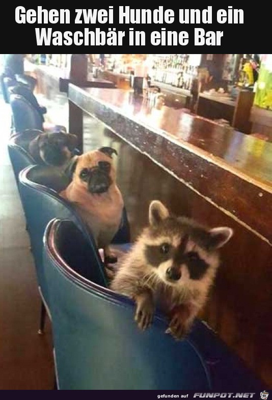 In einer Bar
