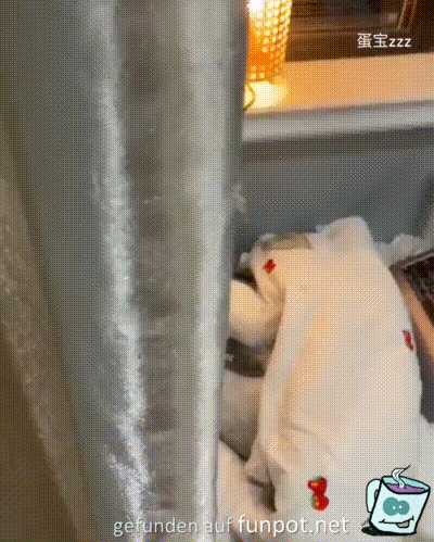 Gemeinsam fernsehen Gemeinsam fernsehen