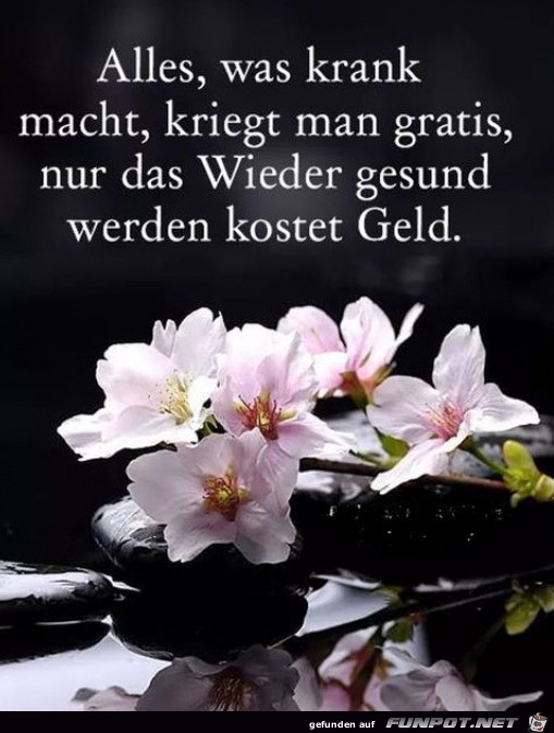 Leider wahr