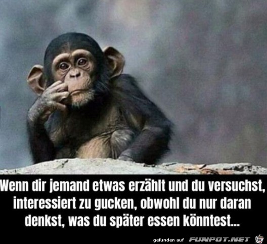 Hrt nicht zu