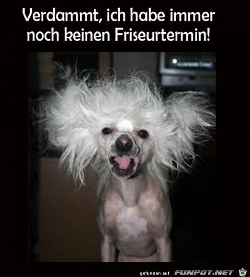 Schlimme Frisur