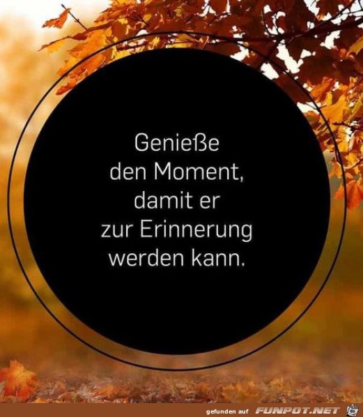 Genieße den Moment Genieße den Moment