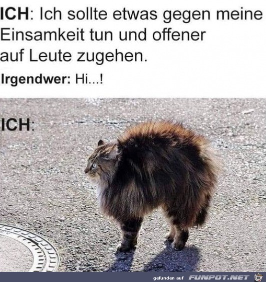 Offener auf Leute zugehen Offener auf Leute zugehen