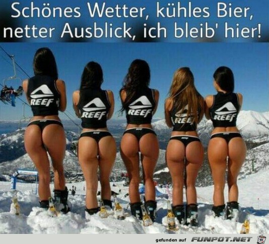 Netter Ausblick Netter Ausblick
