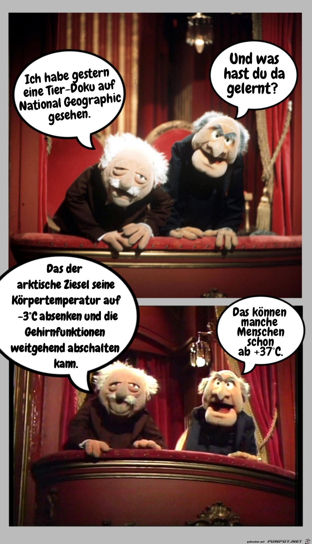 Ziesel