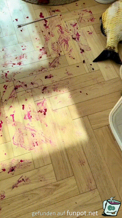 Was ist denn hier passiert? Was ist denn hier passiert?