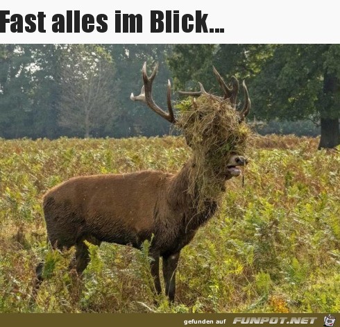 Bisschen verhangen
