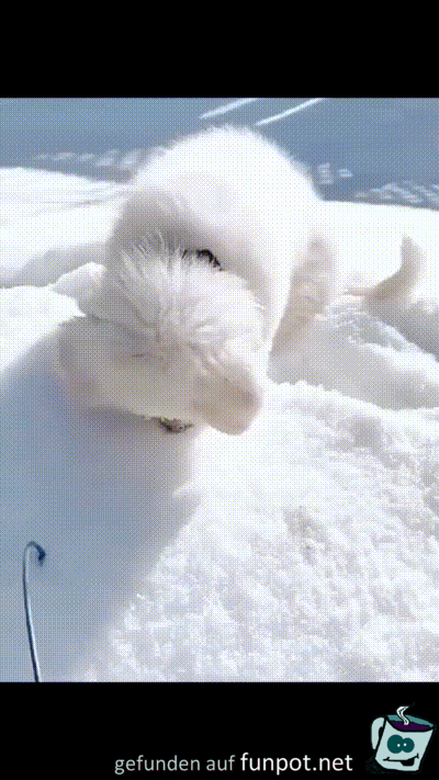 Er mag Schnee