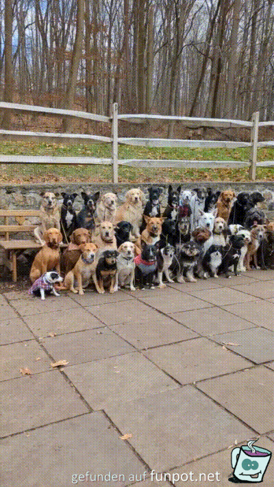 Gruppenbild Gruppenbild