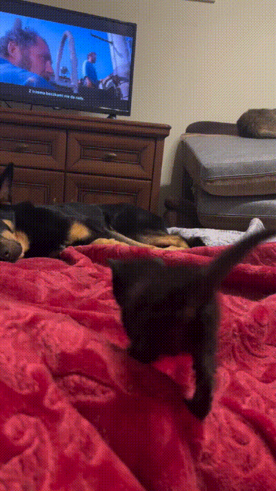 Wie lieb ist das denn