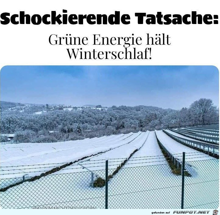 Winterschlaf
