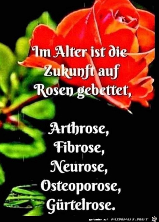 Auf Rosen gebettet