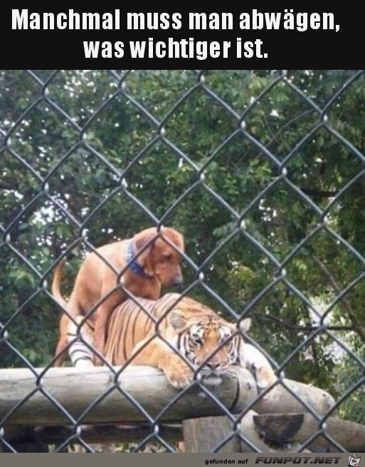 Was ist wichtiger Was ist wichtiger