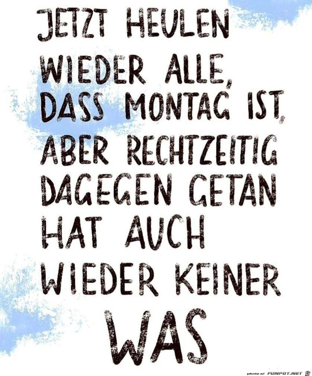 Jetzt heulen wieder alle