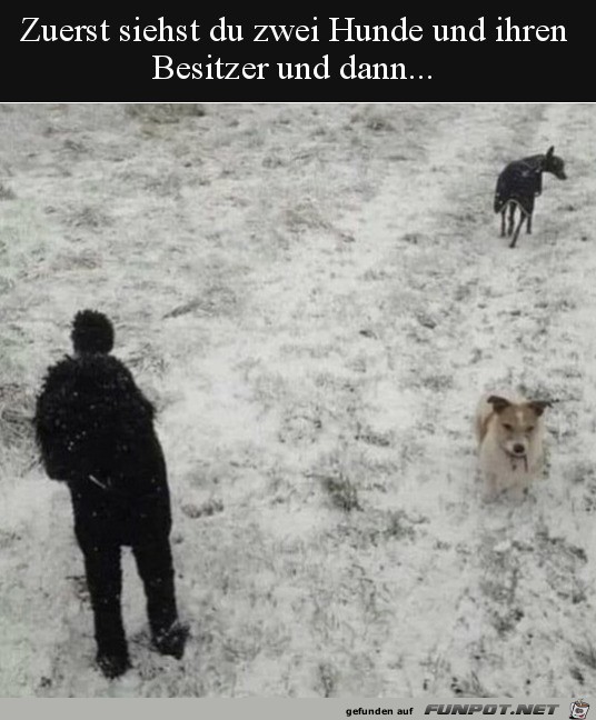 Zuerst siehst du zwei Hunde Zuerst siehst du zwei Hunde