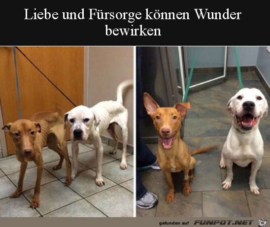 Liebe und Fürsorge Liebe und Fürsorge