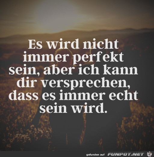 Immer echt