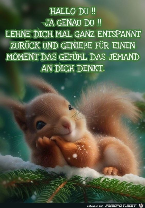 Hallo Du genau Du Hallo Du genau Du