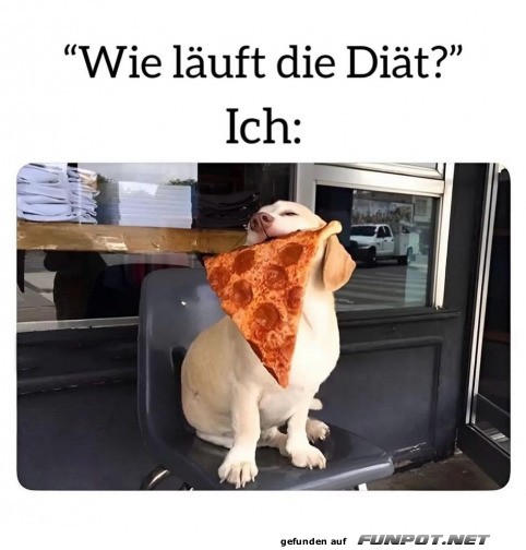 Wie luft die Dit?