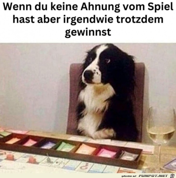 Anfngerglck