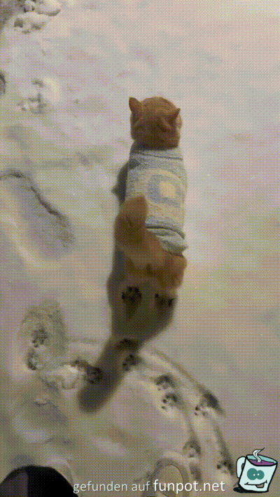Spuren im Schnee Spuren im Schnee