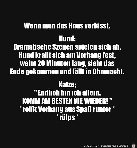 Unterschied Hund Katze Unterschied Hund Katze