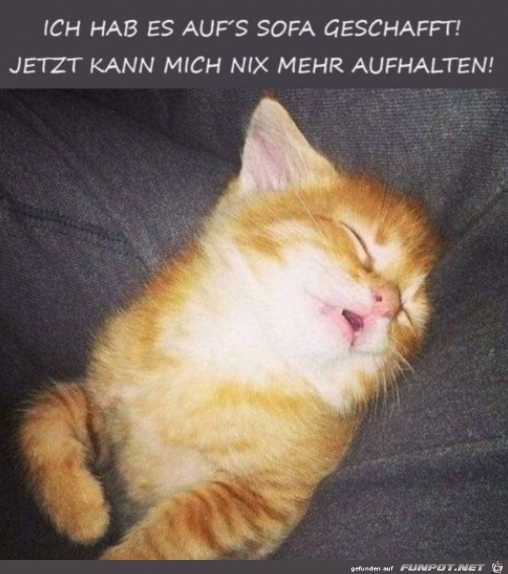 Aufs Sofa geschafft